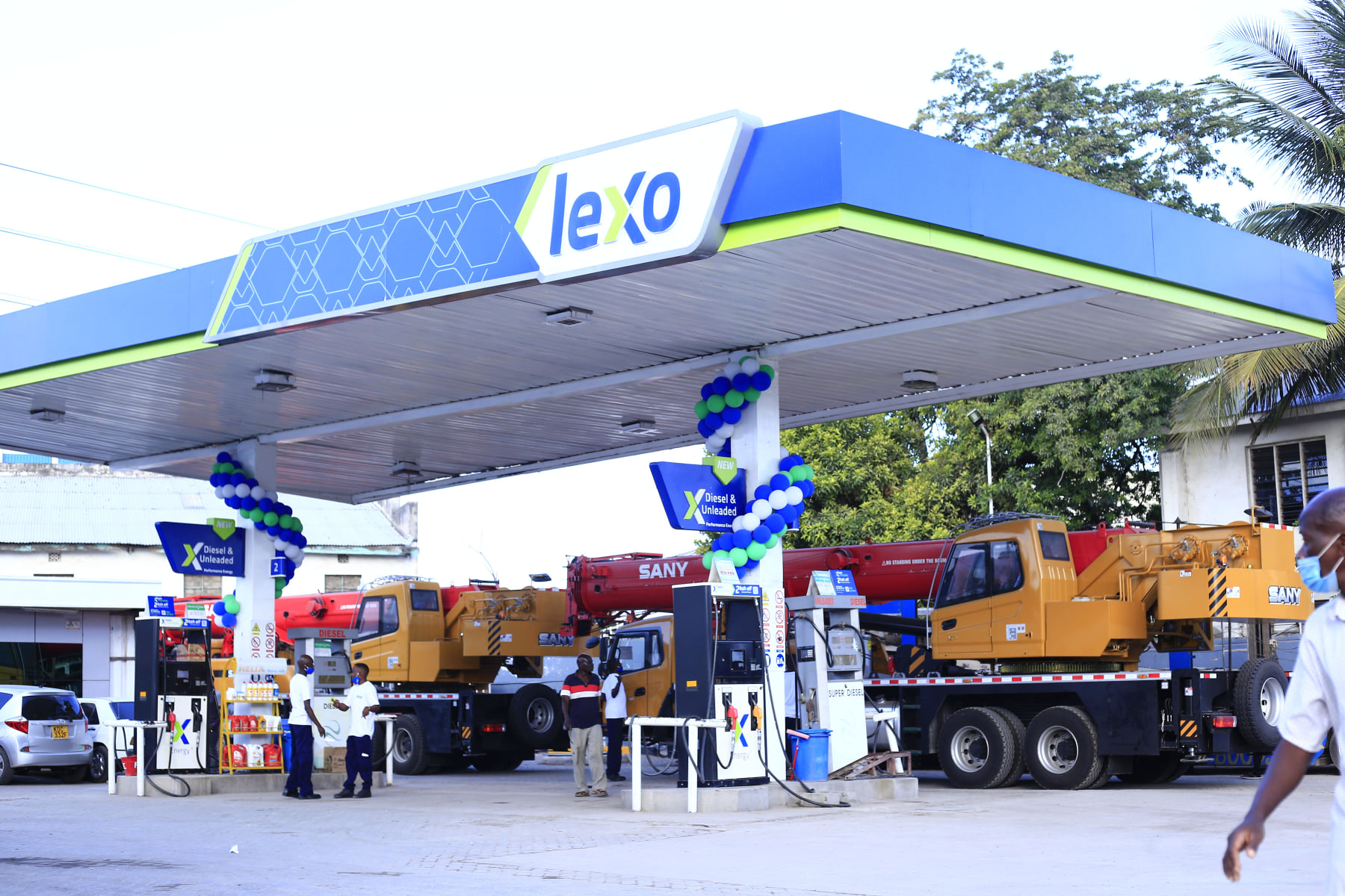 Lexo Energy Case Study